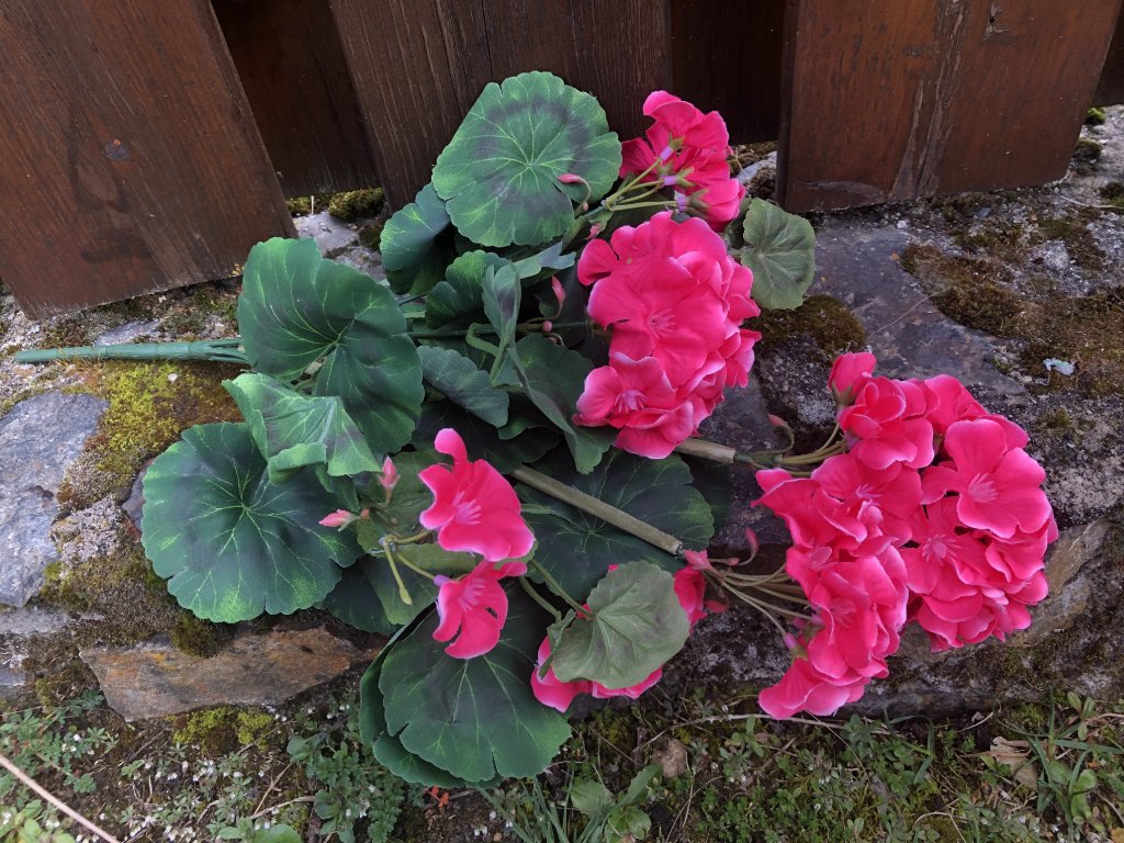 Umělé květiny muškát růžový 45 cm